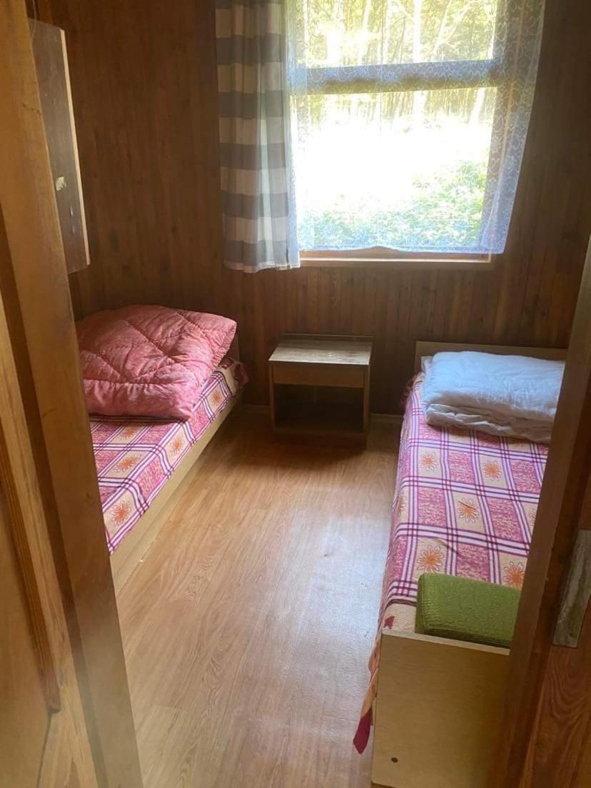 Domki Szumi Las Mrzeżyno Exteriér fotografie