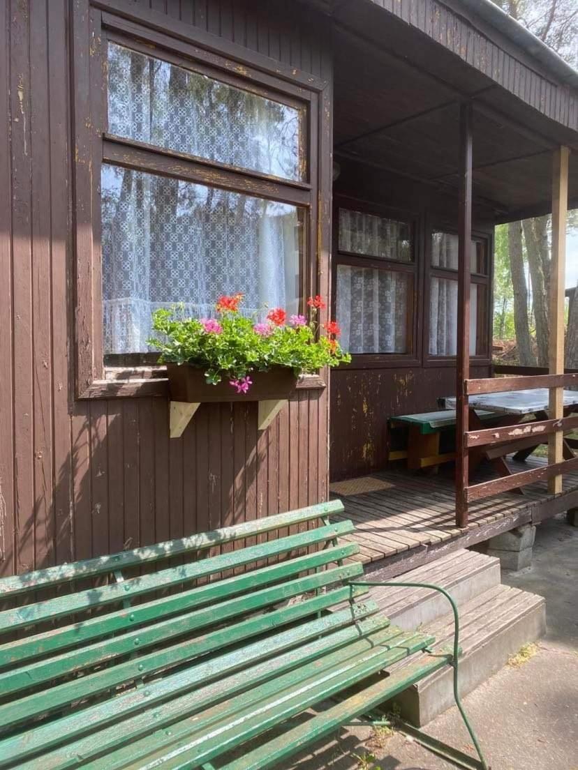 Domki Szumi Las Mrzeżyno Exteriér fotografie